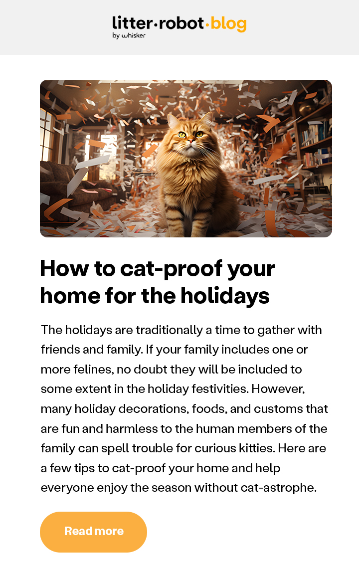 How to cat-proof your home for the holidays