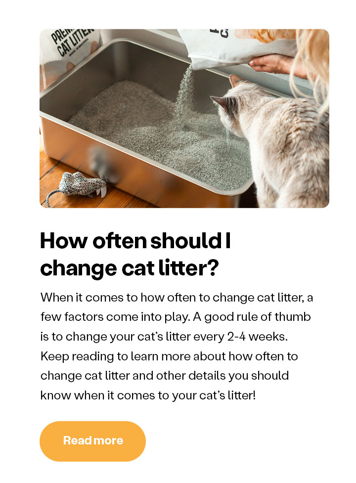 How often should I change my cat litter?