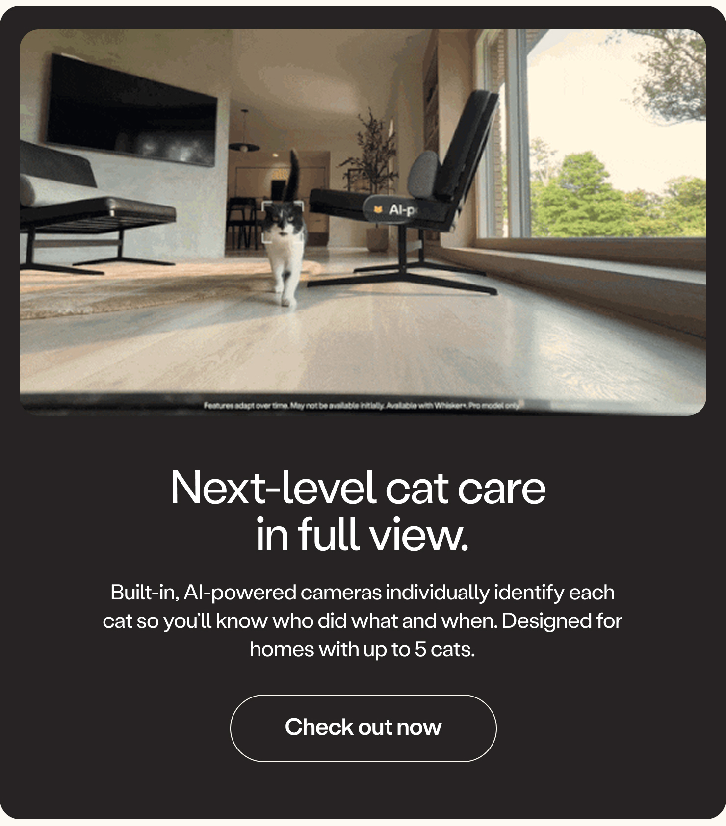 Next level cat care in full view. 