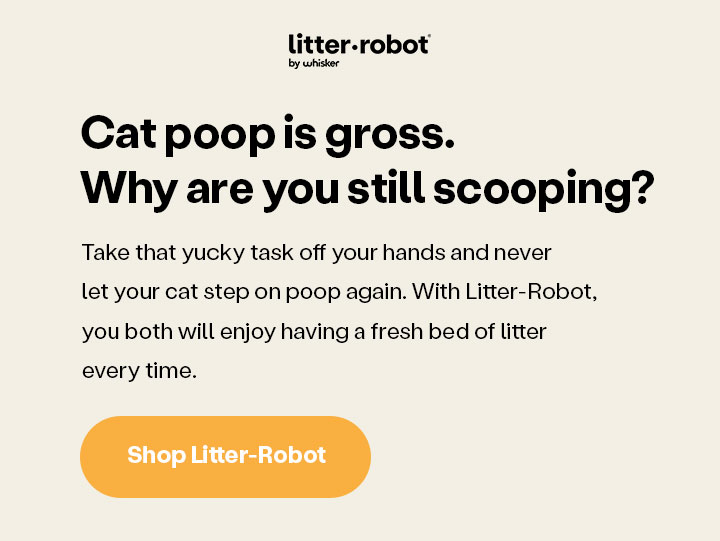 Cat poop is gross. Why are you still scooping? Shop Litter-Robot