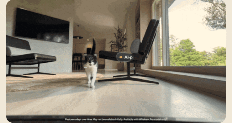 AI-powered dual camera system to access real-time insights