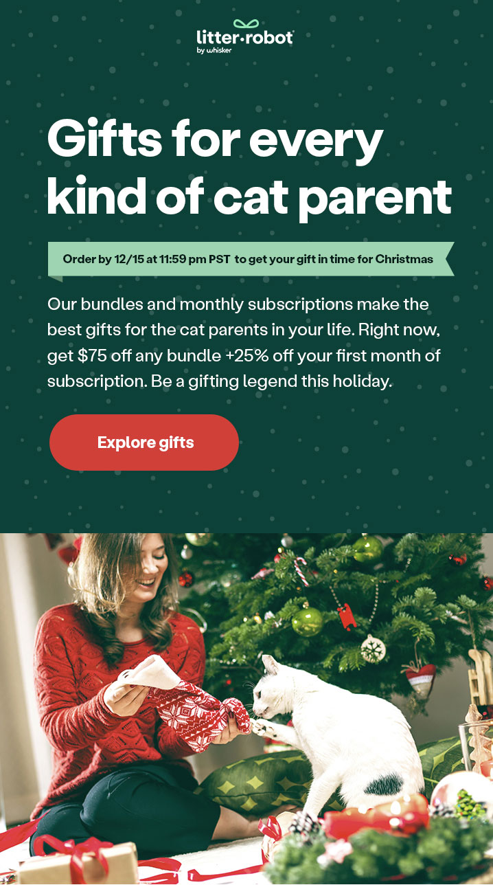 Gifts for every kind of cat parent: Explore gift guide