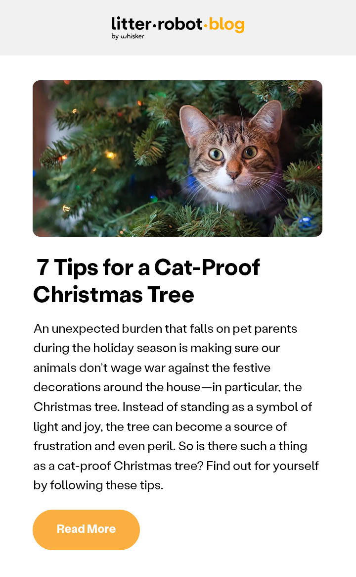 7 Tips for a Cat-Proof Christmas Tree