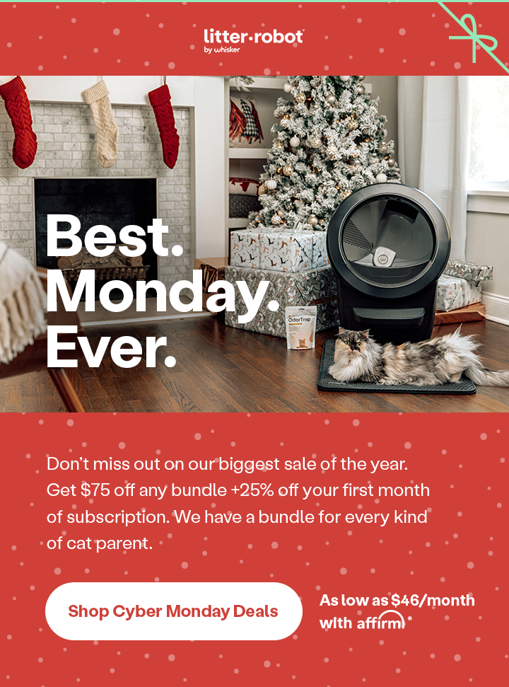 Best.Monday.Ever. Shop Cyber Monday Deals