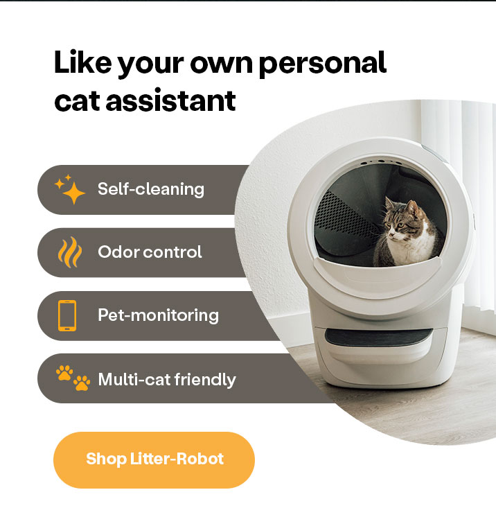 Like your own personal cat assistant: Shop Litter-Robot