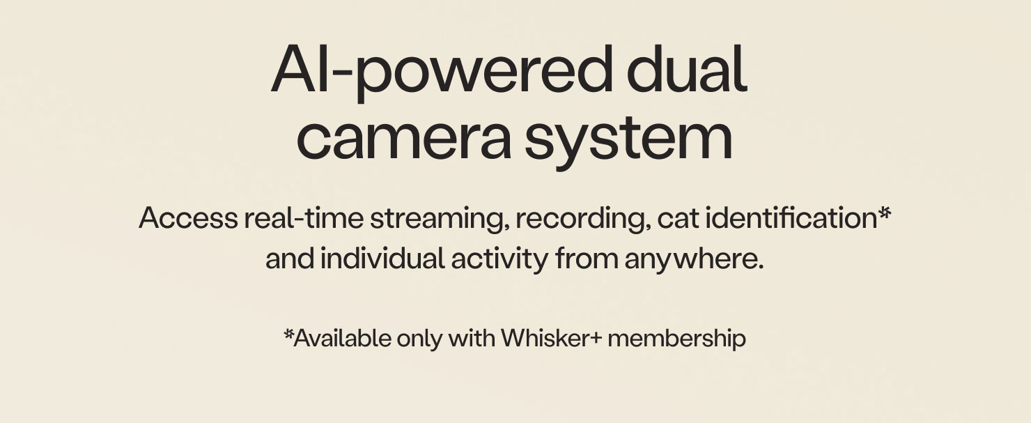 AI-powered dual camera system to access real-time insights