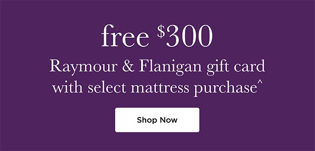 Free $300 Raymour & Flanigan gift card with select mattress purchase