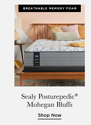 Sealy Posturepedic Mohegan Bluffs - Shop Now