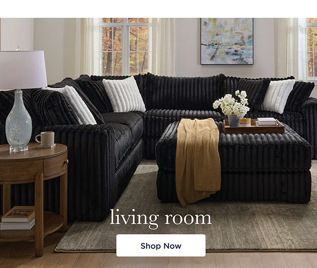 Shop Living Room