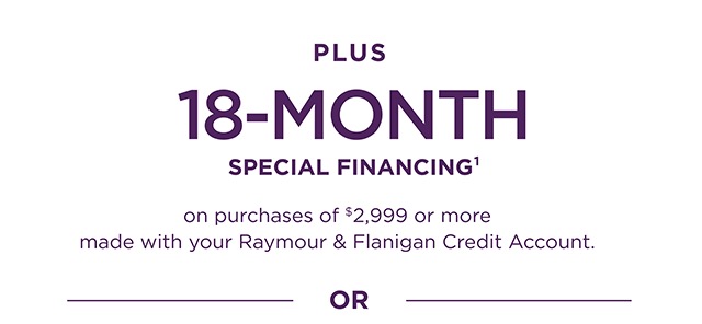 Plus 18-Month Special Financing