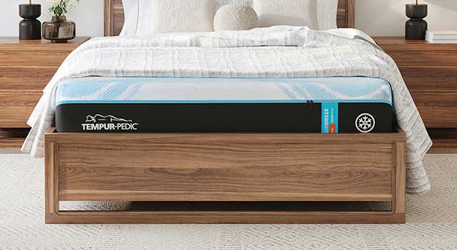 TEMPUR-PEDIC