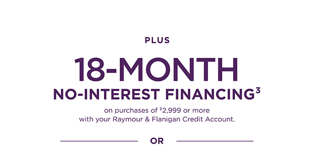 Plus 18-Month Special Financing
