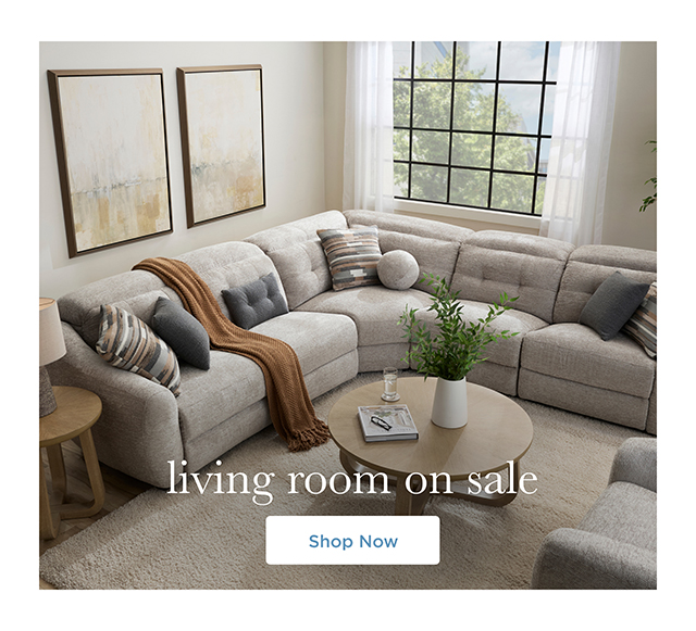 Living Room On Sale