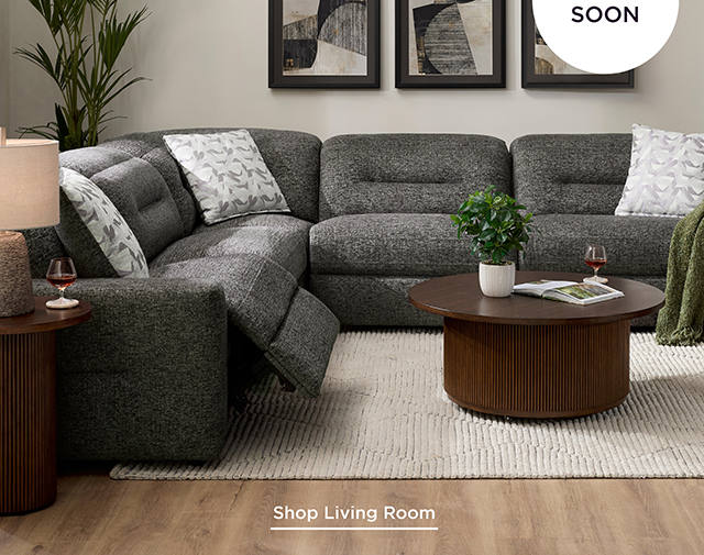 Shop Living Room