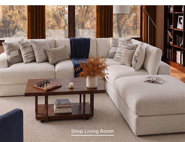 Shop Living Room