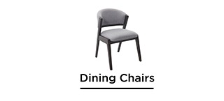 Dining Chairs