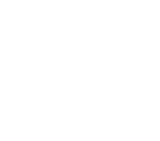 Delivery in 3 days or less*