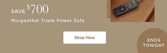 Save $700 - Morgenthal Triple Power Sofa