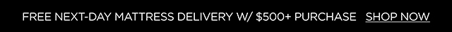 Free next-day mattress delivery w/ $500+ purchase - Shop Now