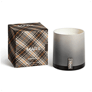 Pumpkin + Birch Seasonal Candle