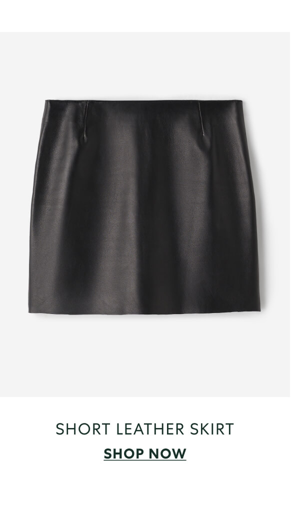 Short Leather Skirt