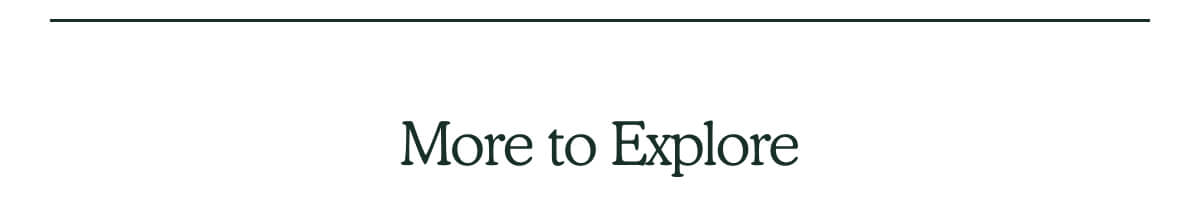 More to Explore