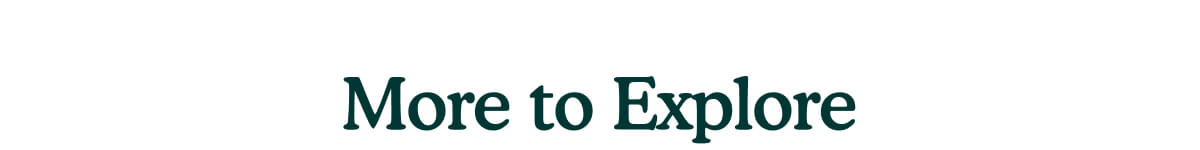 More to Explore