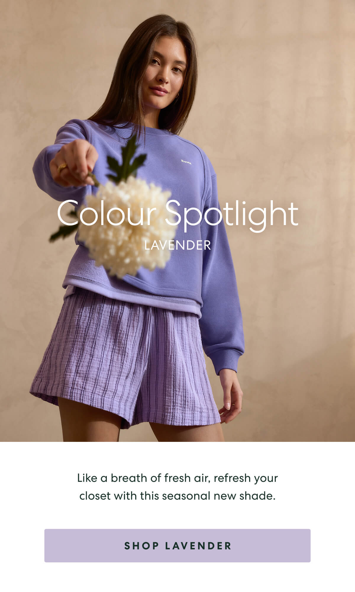 Colour Spotlight