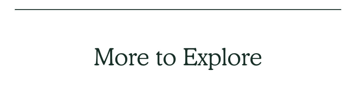 More to Explore