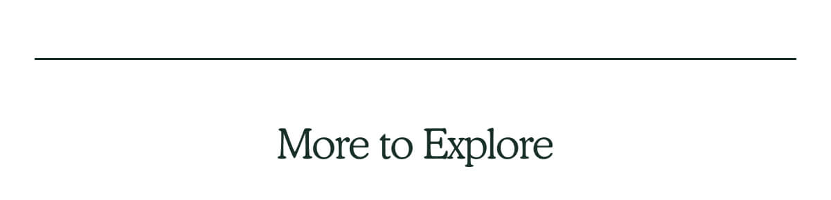 More to Explore
