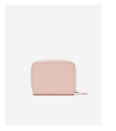 Small Zip Around Clutch Cloud