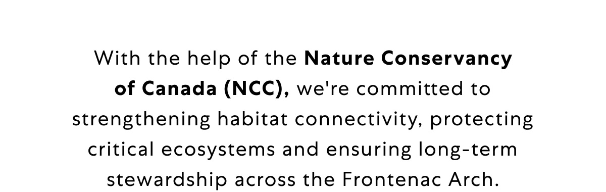 With the help of the Nature Conservancy of Canada (NCC), we're committed to strengthening habitat connectivity, protecting critical ecosystems and ensuring long-term stewardship across the Frontenac Arch.