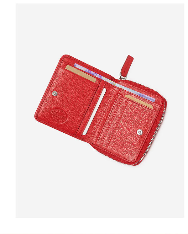 Small Zip Around Clutch Cervino