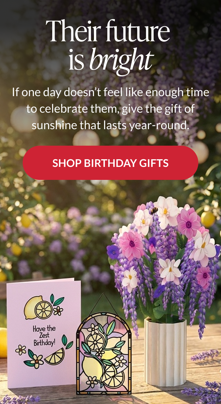 New This Week from Lovepop — birthday suncatcher cards and new gift bundles