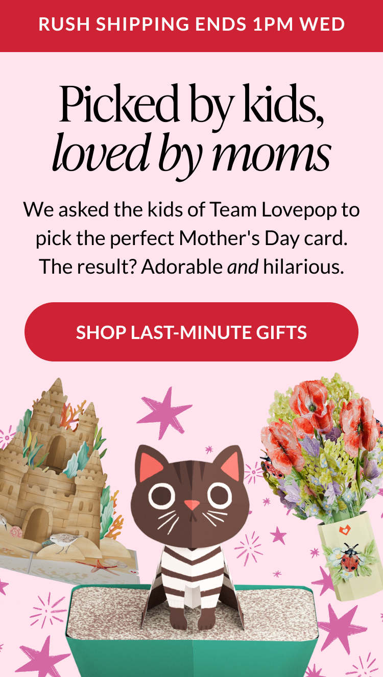 Mobile hero banner announcing expedited shipping cutoff reminder
