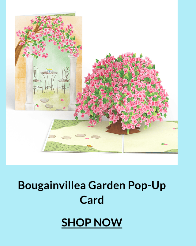 Bougainvillea garden pop-up card.
