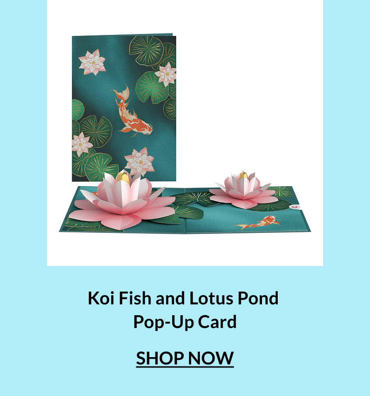Koi fish and lotus pond pop-up card.