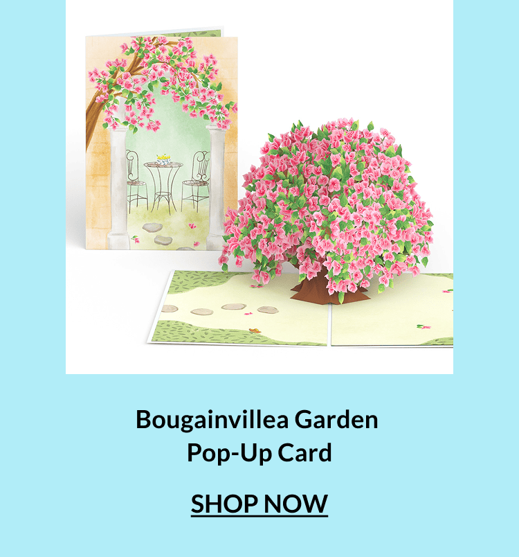 Bougainvillea garden pop-up card.