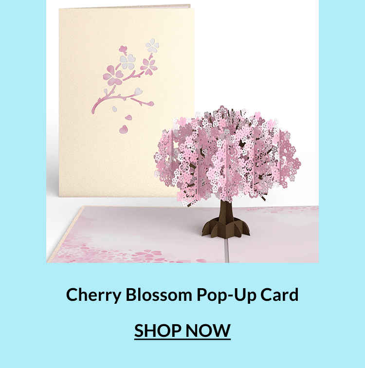 Cherry blossom pop-up card.