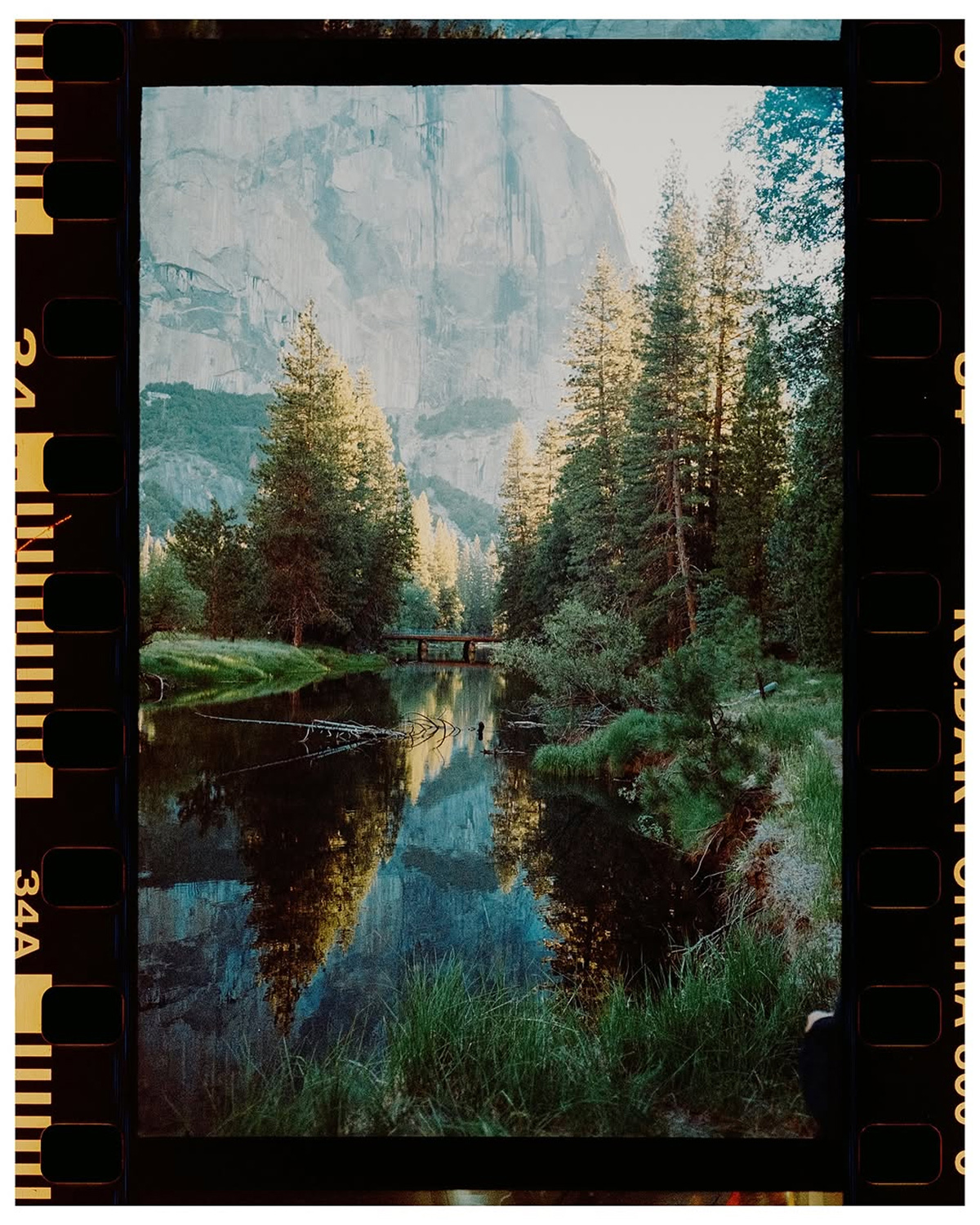 Photo by @stevenmschultz