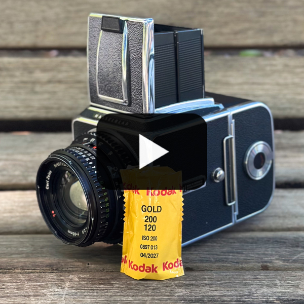 Out and About with the Hasselblad 500CM