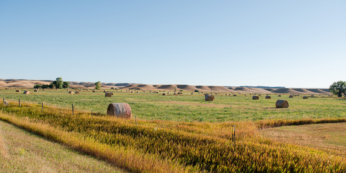 Top 7 Budget Lenses for Landscape Photography