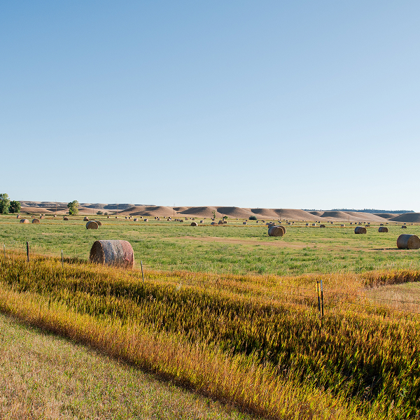 Top 7 Budget Lenses for Landscape Photography