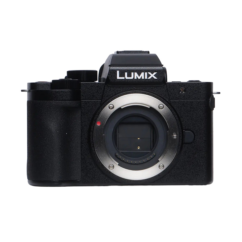 Panasonic Lumix G100D