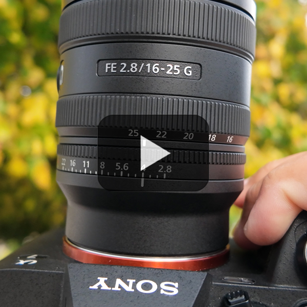 Out And About With The Sony 16-25mm f/2.8