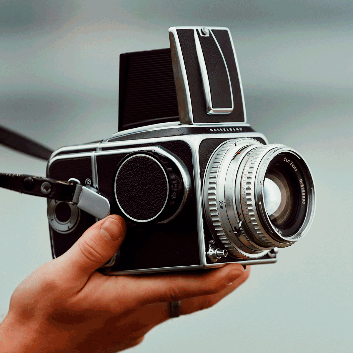 Medium and large format