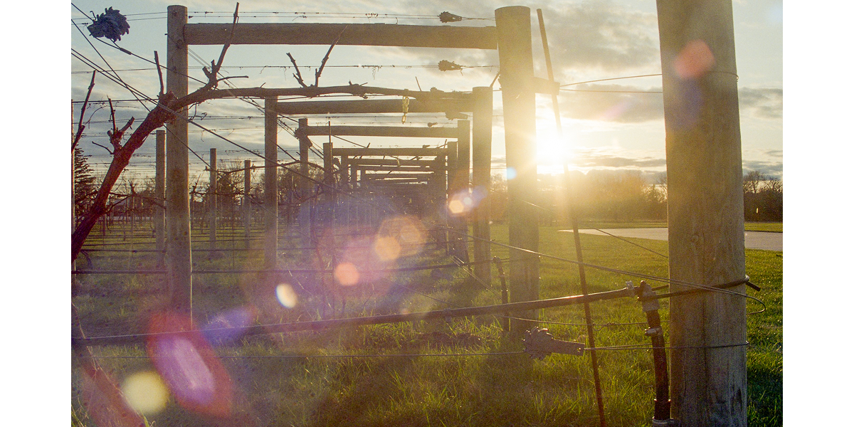 Photo by Laura Geror, KEH team member, with a Nikon FE