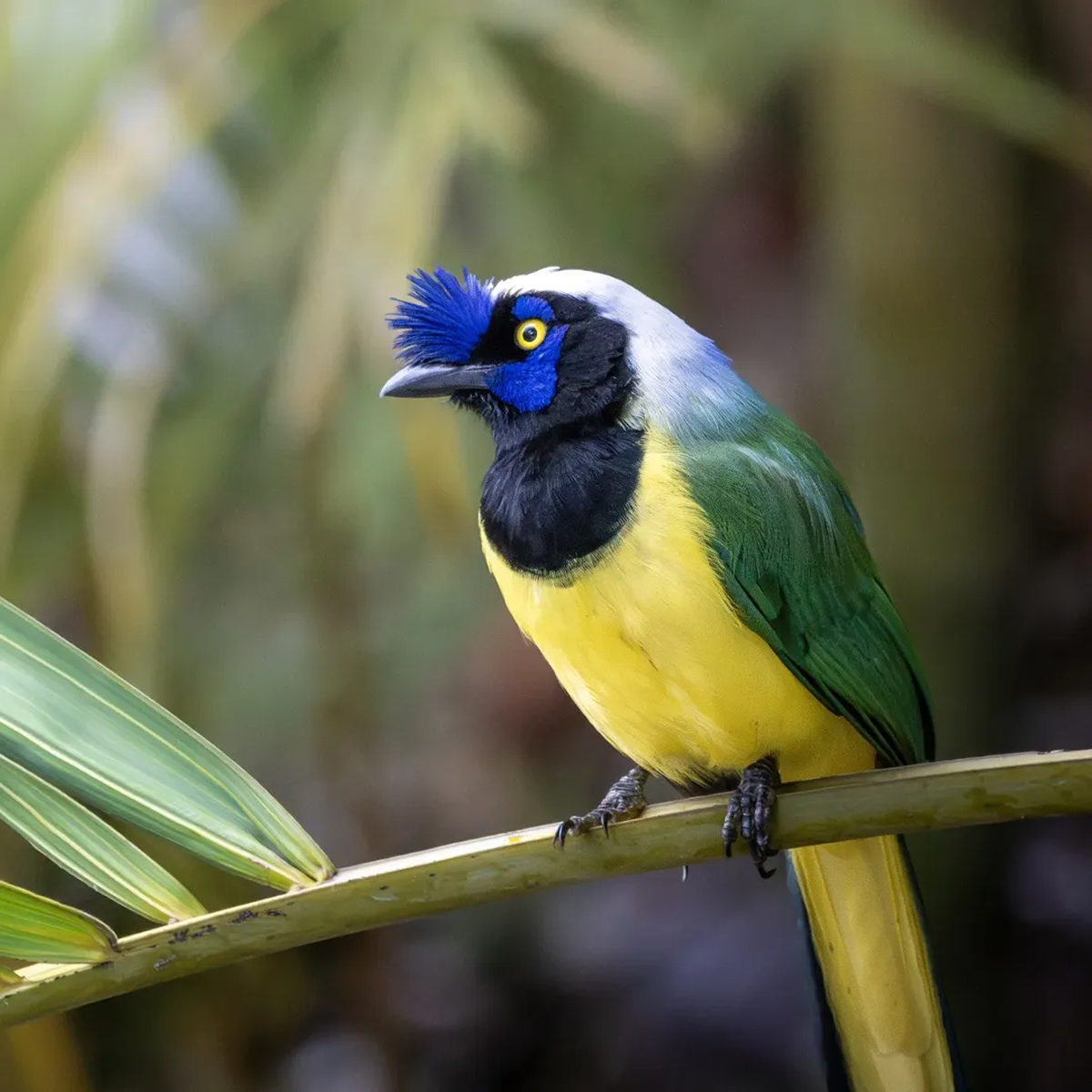 Photo by @my_birds_sightings