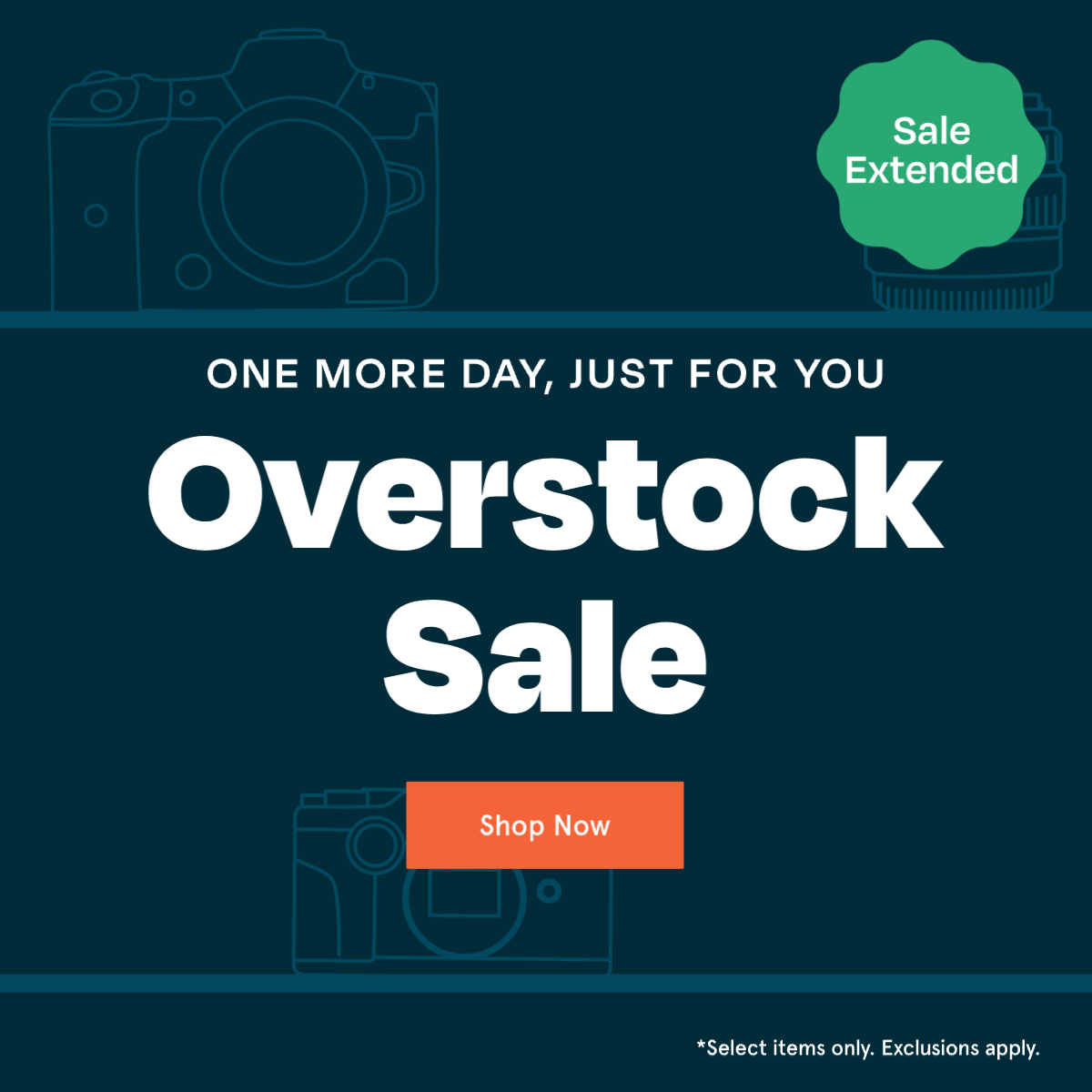 Shop the sale