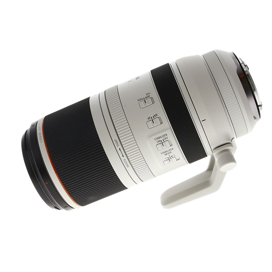 Canon RF 100-500mm f/4.5-7.1 L IS USM